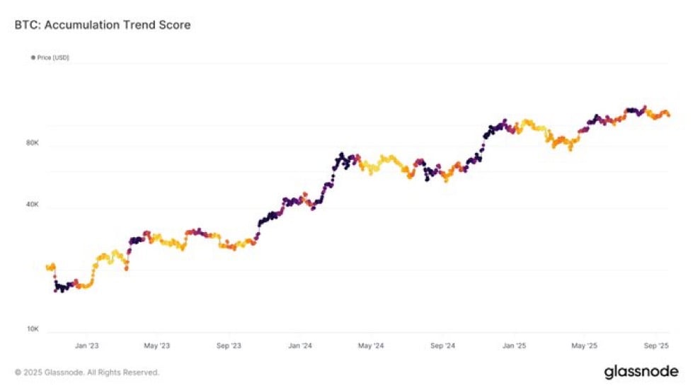 BTC Q4 Outlook: Long-Term Holders trade, Fear Index Hints at Rebound 3 BTC Accumulation Trend Score.