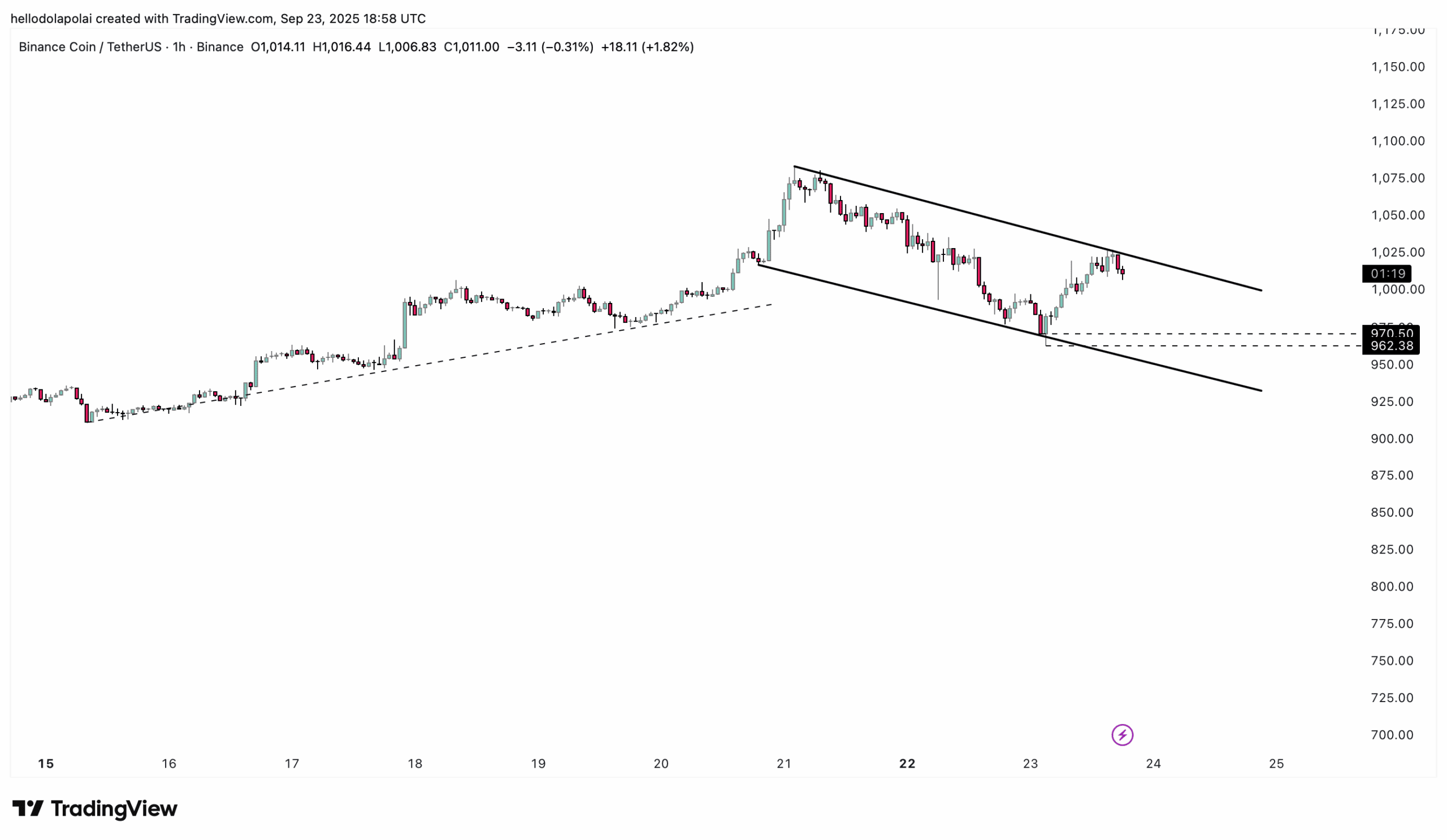 BNB Price Prediction: BNB Consolidates at $1,000 as Bulls Eye Next Breakout 2 BNB price chart.