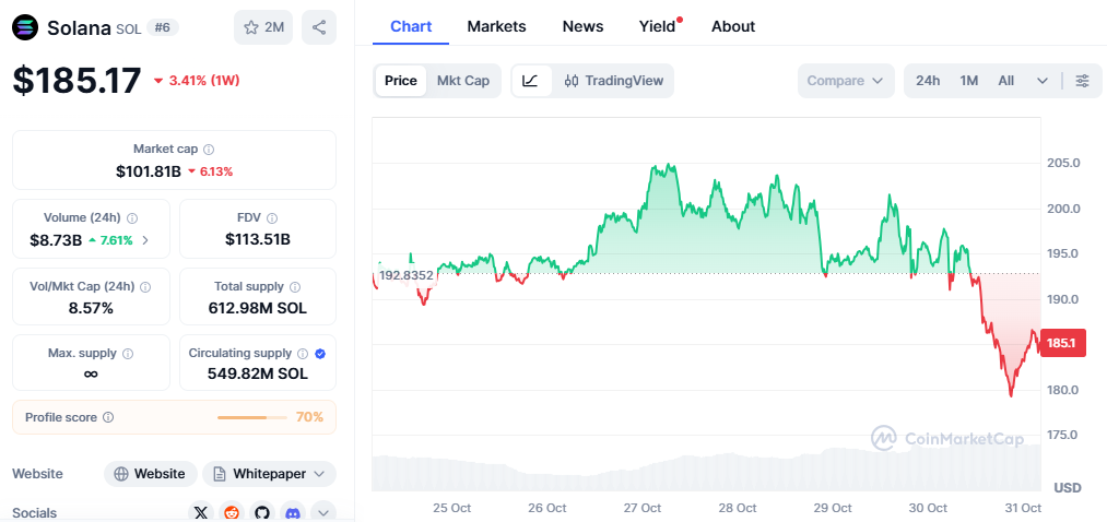 Western Union to Build on SOL – Bullish for the Solana Price?