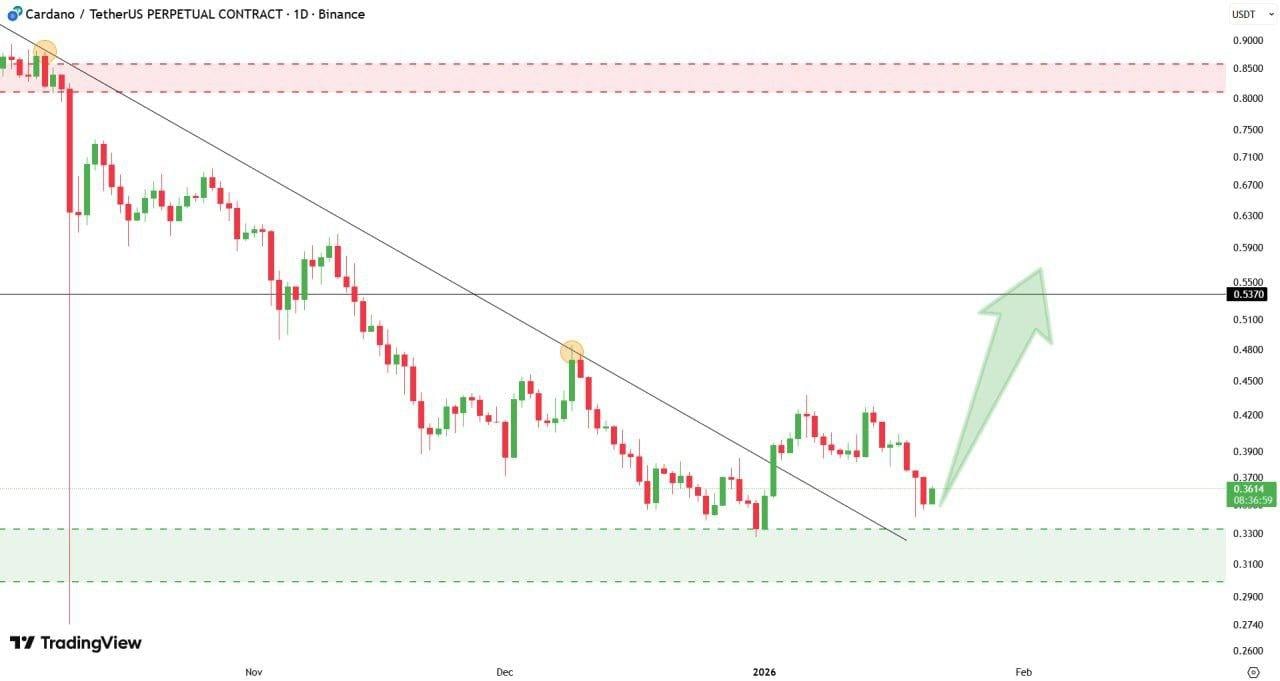 Cardano price prediction